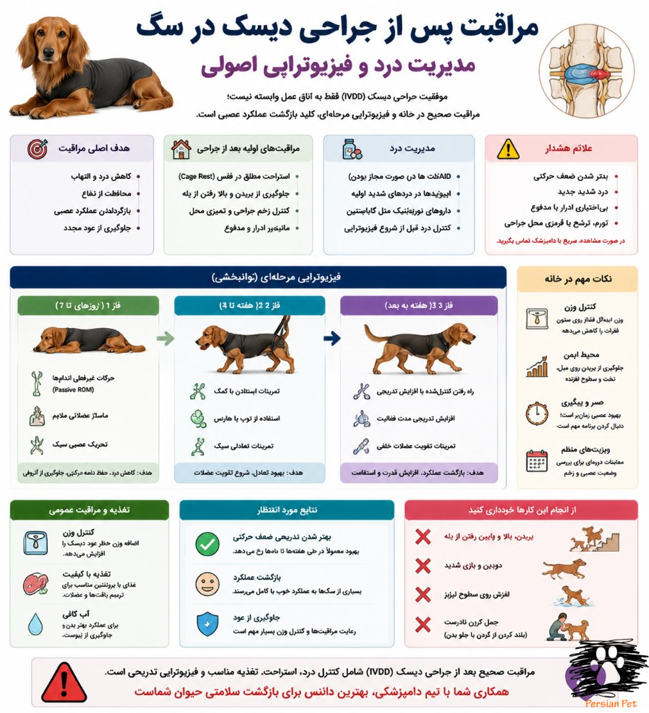 مراقبت پس از جراحی دیسک در سگ | مدیریت درد و فیزیوتراپی اصولی