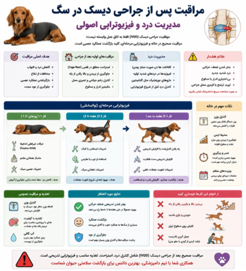 مراقبت پس از جراحی دیسک در سگ | مدیریت درد و فیزیوتراپی اصولی