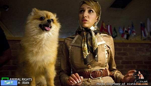 افسرده‌ها سگ و گربه نگه می‌دارند