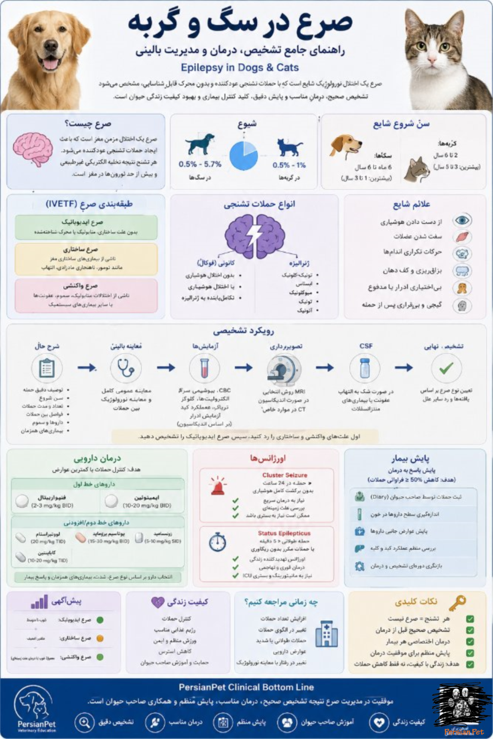 صرع در سگ و گربه | تشخیص، درمان، داروها و مدیریت بالینی (راهنمای جامع دامپزشکی)