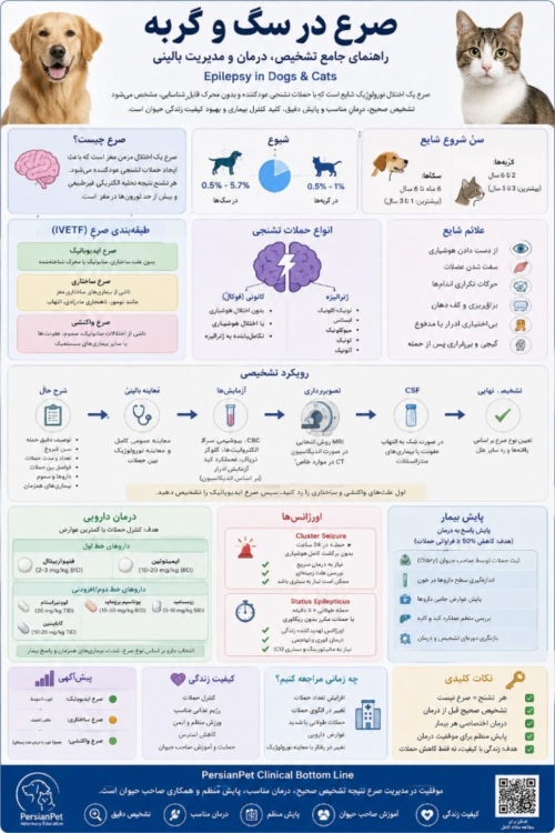 صرع در سگ و گربه | تشخیص، درمان، داروها و مدیریت بالینی (راهنمای جامع دامپزشکی)