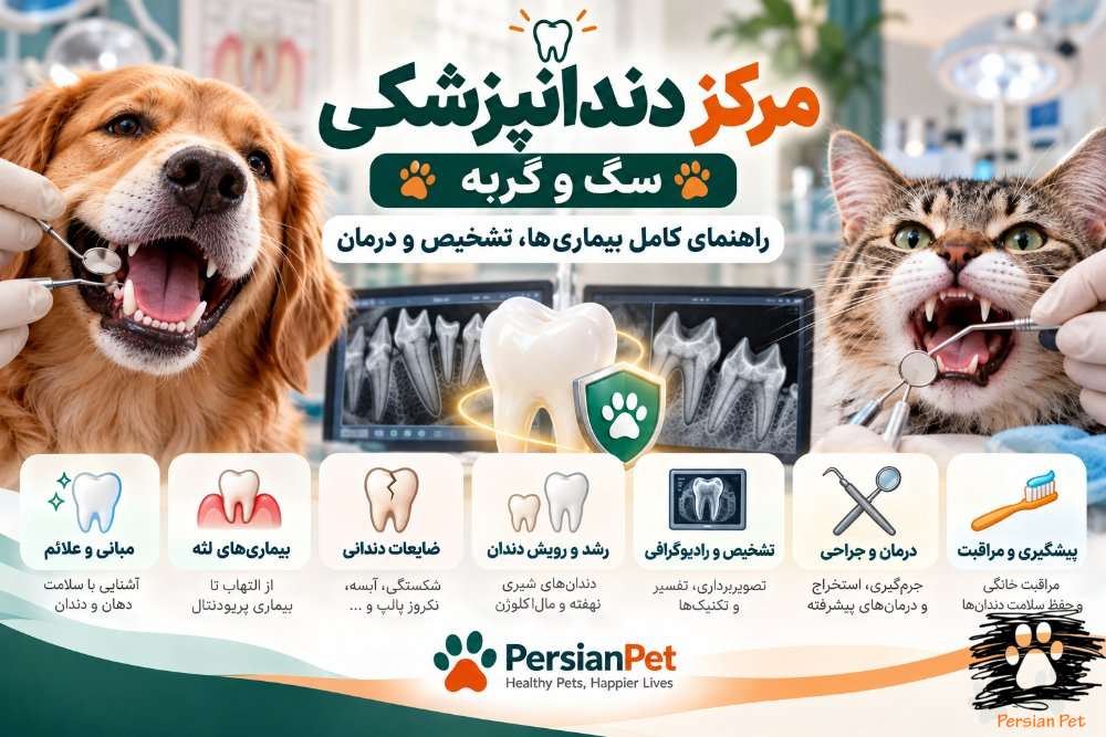 دندانپزشکی سگ و گربه | بیماری‌ها، تشخیص، درمان و مراقبت از دندان