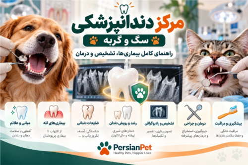 دندانپزشکی سگ و گربه | بیماری‌ها، تشخیص، درمان و مراقبت از دندان
