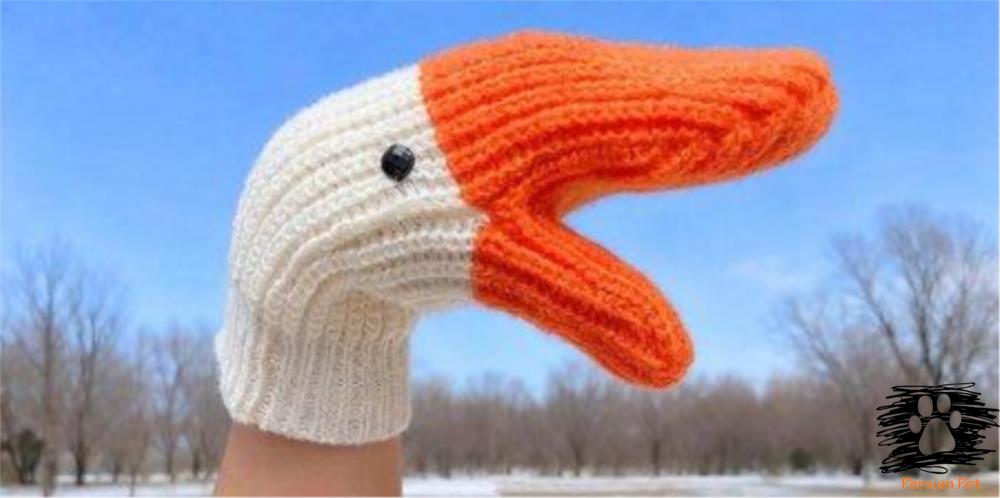 دستکش هایی به شکل غاز