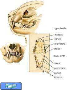/Files/Contents/138705/Image509-3.jpg