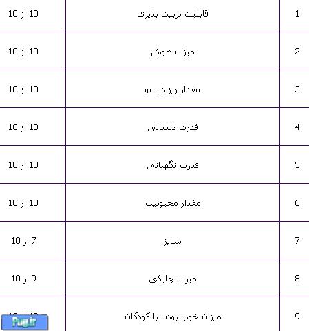 ژرمن شپرد