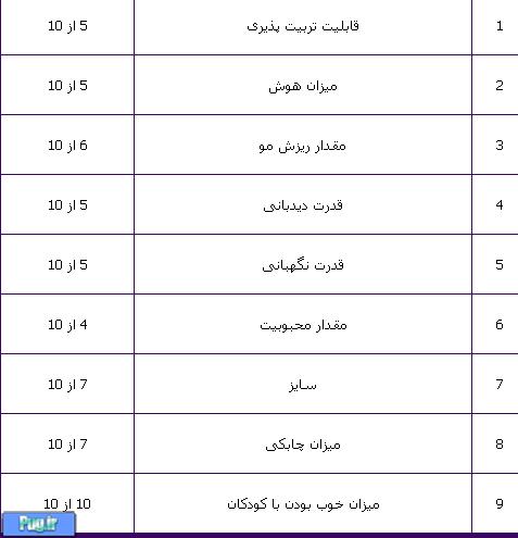پوینتر