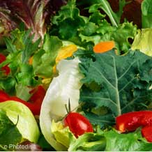 توصیه های رژیم غذایی گربه ی مبتلا به بیماری کبد