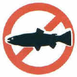 توصیه های رژیم غذایی گربه ی مبتلا به بیماری کبد