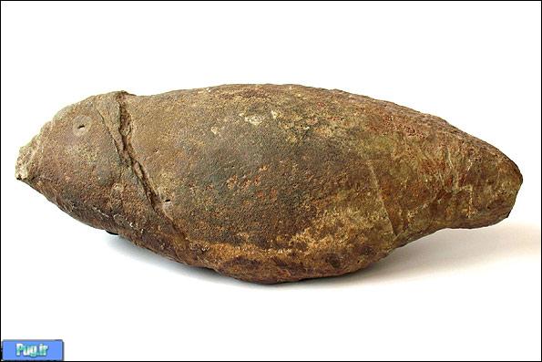 پارک ژوراسیک در انبار خانه پارک ژوراسیک در انبار خانه
