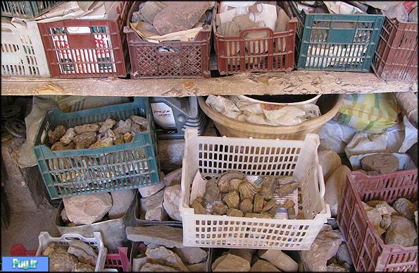 پارک ژوراسیک در انبار خانه پارک ژوراسیک در انبار خانه