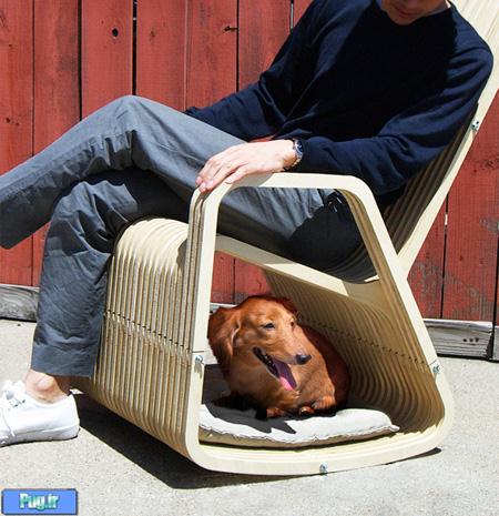 <div><p> <img title="Rocking Chair by Paul Kweton" src="http://www.toxel.com/wp-content/uploads/2012/04/petrock12.jpg" alt="Rocking Chair by Paul Kweton" width="450" height="344" style="font-family: Arial, Verdana, Helvetica; font-size: 13px; line-height: 1.8; text-align: left; border-top-width: 1px; border-right-width: 1px; border-bottom-width: 1px; border-left-width: 1px; border-style: initial; border-color: initial; border-image: initial; padding-top: 3px; padding-right: 3px; padding-bottom: 3px; padding-left: 3px; border-top-style: solid; border-right-style: solid; border-bottom-style: solid; border-left-style: solid; border-top-color: rgb(0, 0, 0); border-right-color: rgb(0, 0, 0); border-bottom-color: rgb(0, 0, 0); border-left-color: rgb(0, 0, 0); " /></p>
<p style="margin-top: 10px; margin-right: 0px; margin-bottom: 10px; margin-left: 0px; padding-top: 0px; padding-right: 0px; padding-bottom: 0px; padding-left: 0px; line-height: 1.8; font-family: Arial, Verdana, Helvetica; font-size: 13px; text-align: left; "><img title="Pet Rocking Chair" src="http://www.toxel.com/wp-content/uploads/2012/04/petrock04.jpg" alt="Pet Rocking Chair" width="450" height="600" style="border-top-width: 1px; border-right-width: 1px; border-bottom-width: 1px; border-left-width: 1px; border-style: initial; border-color: initial; border-image: initial; padding-top: 3px; padding-right: 3px; padding-bottom: 3px; padding-left: 3px; border-top-style: solid; border-right-style: solid; border-bottom-style: solid; border-left-style: solid; border-top-color: rgb(0, 0, 0); border-right-color: rgb(0, 0, 0); border-bottom-color: rgb(0, 0, 0); border-left-color: rgb(0, 0, 0); " /></p>
<p style="margin-top: 10px; margin-right: 0px; margin-bottom: 10px; margin-left: 0px; padding-top: 0px; padding-right: 0px; padding-bottom: 0px; padding-left: 0px; line-height: 1.8; font-family: Arial, Verdana, Helvetica; font-size: 13px; text-align: left; "><img title="Dog Rocking Chair" src="/Files/Contents/139102/Image46766-3.jpg" alt="Dog Rocking Chair" width="450" height="465" style="border-top-width: 1px; border-right-width: 1px; border-bottom-width: 1px; border-left-width: 1px; border-style: initial; border-color: initial; border-image: initial; padding-top: 3px; padding-right: 3px; padding-bottom: 3px; padding-left: 3px; border-top-style: solid; border-right-style: solid; border-bottom-style: solid; border-left-style: solid; border-top-color: rgb(0, 0, 0); border-right-color: rgb(0, 0, 0); border-bottom-color: rgb(0, 0, 0); border-left-color: rgb(0, 0, 0); " /></p>
<p style="margin-top: 10px; margin-right: 0px; margin-bottom: 10px; margin-left: 0px; padding-top: 0px; padding-right: 0px; padding-bottom: 0px; padding-left: 0px; line-height: 1.8; font-family: Arial, Verdana, Helvetica; font-size: 13px; text-align: left; "><img title="Dog House Rocking Chair" src="http://www.toxel.com/wp-content/uploads/2012/04/petrock11.jpg" alt="Dog House Rocking Chair" width="450" height="212" style="border-top-width: 1px; border-right-width: 1px; border-bottom-width: 1px; border-left-width: 1px; border-style: initial; border-color: initial; border-image: initial; padding-top: 3px; padding-right: 3px; padding-bottom: 3px; padding-left: 3px; border-top-style: solid; border-right-style: solid; border-bottom-style: solid; border-left-style: solid; border-top-color: rgb(0, 0, 0); border-right-color: rgb(0, 0, 0); border-bottom-color: rgb(0, 0, 0); border-left-color: rgb(0, 0, 0); " /></p>
<p style="margin-top: 10px; margin-right: 0px; margin-bottom: 10px; margin-left: 0px; padding-top: 0px; padding-right: 0px; padding-bottom: 0px; padding-left: 0px; line-height: 1.8; font-family: Arial, Verdana, Helvetica; font-size: 13px; text-align: left; "><img title="Rocking-2-gether Chair" src="http://www.toxel.com/wp-content/uploads/2012/04/petrock06.jpg" alt="Rocking-2-gether Chair" width="450" height="549" style="border-top-width: 1px; border-right-width: 1px; border-bottom-width: 1px; border-left-width: 1px; border-style: initial; border-color: initial; border-image: initial; padding-top: 3px; padding-right: 3px; padding-bottom: 3px; padding-left: 3px; border-top-style: solid; border-right-style: solid; border-bottom-style: solid; border-left-style: solid; border-top-color: rgb(0, 0, 0); border-right-color: rgb(0, 0, 0); border-bottom-color: rgb(0, 0, 0); border-left-color: rgb(0, 0, 0); " /></p>
<p style="margin-top: 10px; margin-right: 0px; margin-bottom: 10px; margin-left: 0px; padding-top: 0px; padding-right: 0px; padding-bottom: 0px; padding-left: 0px; line-height: 1.8; font-family: Arial, Verdana, Helvetica; font-size: 13px; text-align: left; "><img title="Paul Kweton Rocking Chair" src="http://www.toxel.com/wp-content/uploads/2012/04/petrock07.jpg" alt="Paul Kweton Rocking Chair" width="450" height="468" style="border-top-width: 1px; border-right-width: 1px; border-bottom-width: 1px; border-left-width: 1px; border-style: initial; border-color: initial; border-image: initial; padding-top: 3px; padding-right: 3px; padding-bottom: 3px; padding-left: 3px; border-top-style: solid; border-right-style: solid; border-bottom-style: solid; border-left-style: solid; border-top-color: rgb(0, 0, 0); border-right-color: rgb(0, 0, 0); border-bottom-color: rgb(0, 0, 0); border-left-color: rgb(0, 0, 0); " /></p>
<p style="margin-top: 10px; margin-right: 0px; margin-bottom: 10px; margin-left: 0px; padding-top: 0px; padding-right: 0px; padding-bottom: 0px; padding-left: 0px; line-height: 1.8; font-family: Arial, Verdana, Helvetica; font-size: 13px; text-align: left; "><img title="Paul Kweton" src="http://www.toxel.com/wp-content/uploads/2012/04/petrock10.jpg" alt="Paul Kweton" width="450" height="669" style="border-top-width: 1px; border-right-width: 1px; border-bottom-width: 1px; border-left-width: 1px; border-style: initial; border-color: initial; border-image: initial; padding-top: 3px; padding-right: 3px; padding-bottom: 3px; padding-left: 3px; border-top-style: solid; border-right-style: solid; border-bottom-style: solid; border-left-style: solid; border-top-color: rgb(0, 0, 0); border-right-color: rgb(0, 0, 0); border-bottom-color: rgb(0, 0, 0); border-left-color: rgb(0, 0, 0); " /></p>
<p style="margin-top: 10px; margin-right: 0px; margin-bottom: 10px; margin-left: 0px; padding-top: 0px; padding-right: 0px; padding-bottom: 0px; padding-left: 0px; line-height: 1.8; font-family: Arial, Verdana, Helvetica; font-size: 13px; text-align: left; "><img title="Rocking-2-gether" src="http://www.toxel.com/wp-content/uploads/2012/04/petrock09.jpg" alt="Rocking-2-gether" width="450" height="373" style="border-top-width: 1px; border-right-width: 1px; border-bottom-width: 1px; border-left-width: 1px; border-style: initial; border-color: initial; border-image: initial; padding-top: 3px; padding-right: 3px; padding-bottom: 3px; padding-left: 3px; border-top-style: solid; border-right-style: solid; border-bottom-style: solid; border-left-style: solid; border-top-color: rgb(0, 0, 0); border-right-color: rgb(0, 0, 0); border-bottom-color: rgb(0, 0, 0); border-left-color: rgb(0, 0, 0); " /></p>
<p style="margin-top: 10px; margin-right: 0px; margin-bottom: 10px; margin-left: 0px; padding-top: 0px; padding-right: 0px; padding-bottom: 0px; padding-left: 0px; line-height: 1.8; font-family: Arial, Verdana, Helvetica; font-size: 13px; text-align: left; "><img title="Paul Kweton Chair" src="http://www.toxel.com/wp-content/uploads/2012/04/petrock08.jpg" alt="Paul Kweton Chair" width="450" height="390" style="border-top-width: 1px; border-right-width: 1px; border-bottom-width: 1px; border-left-width: 1px; border-style: initial; border-color: initial; border-image: initial; padding-top: 3px; padding-right: 3px; padding-bottom: 3px; padding-left: 3px; border-top-style: solid; border-right-style: solid; border-bottom-style: solid; border-left-style: solid; border-top-color: rgb(0, 0, 0); border-right-color: rgb(0, 0, 0); border-bottom-color: rgb(0, 0, 0); border-left-color: rgb(0, 0, 0); " /></p>
<p style="margin-top: 10px; margin-right: 0px; margin-bottom: 10px; margin-left: 0px; padding-top: 0px; padding-right: 0px; padding-bottom: 0px; padding-left: 0px; line-height: 1.8; font-family: Arial, Verdana, Helvetica; font-size: 13px; text-align: left; "><img title="Cat Bed Rocking Chair" src="http://www.toxel.com/wp-content/uploads/2012/04/petrock05.jpg" alt="Cat Bed Rocking Chair" width="450" height="599" style="border-top-width: 1px; border-right-width: 1px; border-bottom-width: 1px; border-left-width: 1px; border-style: initial; border-color: initial; border-image: initial; padding-top: 3px; padding-right: 3px; padding-bottom: 3px; padding-left: 3px; border-top-style: solid; border-right-style: solid; border-bottom-style: solid; border-left-style: solid; border-top-color: rgb(0, 0, 0); border-right-color: rgb(0, 0, 0); border-bottom-color: rgb(0, 0, 0); border-left-color: rgb(0, 0, 0); " /></p>
<p style="margin-top: 10px; margin-right: 0px; margin-bottom: 10px; margin-left: 0px; padding-top: 0px; padding-right: 0px; padding-bottom: 0px; padding-left: 0px; line-height: 1.8; font-family: Arial, Verdana, Helvetica; font-size: 13px; text-align: left; "><img title="Cat Rocking Chair" src="http://www.toxel.com/wp-content/uploads/2012/04/petrock03.jpg" alt="Cat Rocking Chair" width="450" height="587" style="border-top-width: 1px; border-right-width: 1px; border-bottom-width: 1px; border-left-width: 1px; border-style: initial; border-color: initial; border-image: initial; padding-top: 3px; padding-right: 3px; padding-bottom: 3px; padding-left: 3px; border-top-style: solid; border-right-style: solid; border-bottom-style: solid; border-left-style: solid; border-top-color: rgb(0, 0, 0); border-right-color: rgb(0, 0, 0); border-bottom-color: rgb(0, 0, 0); border-left-color: rgb(0, 0, 0); " /></p></div> صندلی برای شما جای خواب برای پت شما