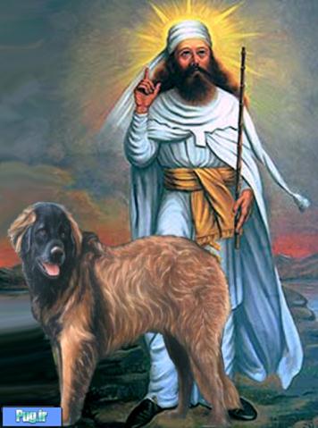 سگ در ایران باستان