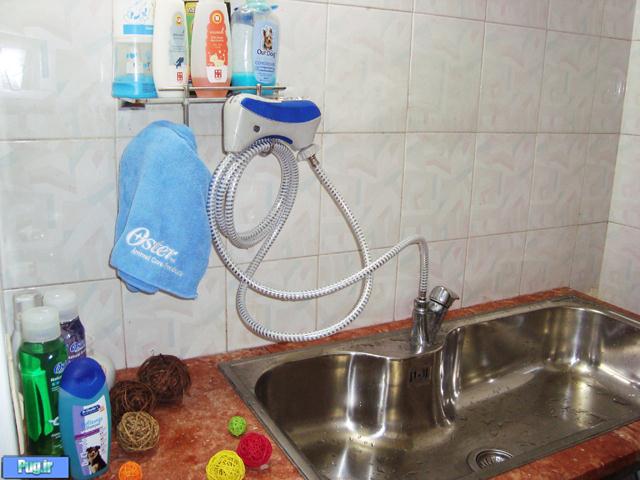خدمات شست و شو برای حیوانات شما 