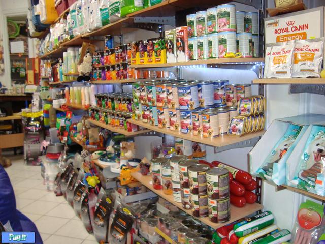 بزرگترین و معتبر ترین پت شاپ ایران بزرگترین و معتبر ترین پت شاپ ایران