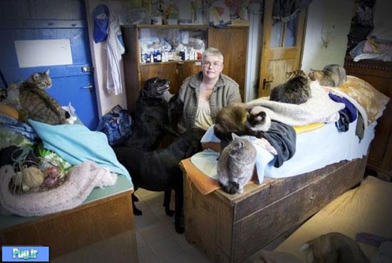 <div><p> </p>
<div style="font-family: Tahoma, Arial; font-size: 13px; text-align: justify;"> </div>
<div style="font-family: Tahoma, Arial; font-size: 13px; text-align: justify;">پیئرت لاوانشی زن 51 ساله ساكن شهر اوییوناز سوئیس از 35 گربه و چهار سگ كه صاحبانشان آنها را رها كرده اند در خانه اش كه فقط 30 متر مربع مساحت دارد، نگهداری می كند.</div>
<div style="font-family: Tahoma, Arial; font-size: 13px; text-align: justify;"> </div>
<div style="font-family: Tahoma, Arial; font-size: 13px; text-align: justify;">با این حال، این خانه كوچك اجاره ای توسط افرادی خریداری شده و پیئرت ناگزیر است در ماه ژوئیه كه قراردادش به پایان می رسد آنجا را ترك كند.</div>
<div style="font-family: Tahoma, Arial; font-size: 13px; text-align: justify;"> </div>
<div style="font-family: Tahoma, Arial; font-size: 13px; text-align: justify;">مارسل روك پیمانكاری كه باید كارهای نوسازی این خانه را برای خریداران آن انجام دهد، می گوید: از مشاهده این همه حیوان در این فضای كوچك حیرت كردم. این مساله را به مقامات اطلاع دادم اما آنها كمترین واكنشی نشان ندادند.</div>
<div style="font-family: Tahoma, Arial; font-size: 13px; text-align: justify;"> </div>
<div style="font-family: Tahoma, Arial; font-size: 13px; text-align: justify;">ژان ووكا مدیر انجمن حمایت از حیوانات تصریح می كند: تا زمانی كه این زن از حیوانات به خوبی مراقبت می كند حق دارد از هر تعداد حیوان می خواهد، نگهداری كند.</div>
<div style="font-family: Tahoma, Arial; font-size: 13px; text-align: justify;"> </div>
<div style="font-family: Tahoma, Arial; font-size: 13px; text-align: center;"><img src="/Files/Contents/139112/Image59215-1.jpg" title="" alt="" style="border: none;" /></div>
<div style="font-family: Tahoma, Arial; font-size: 13px; text-align: justify;"> </div>
<div style="font-family: Tahoma, Arial; font-size: 13px; text-align: justify;">درواقع، پیئرت لاوانشی از هیچ مراقبتی از حیواناتش خودداری نمی كند حتی اگر به بهای محرومیت خودش از بسیاری امكانات تمام شود.</div>
<div style="font-family: Tahoma, Arial; font-size: 13px; text-align: justify;"> </div>
<div style="font-family: Tahoma, Arial; font-size: 13px; text-align: justify;">وی كه شرایط مالی مناسبی ندارد تایید می كند: خوشبختانه خواهرم از نظر مالی از من حمایت می كند و یك تولید كننده خوراك گربه ها و سگ ها قیمت غذای آنها را بامن به صورت عمده فروشی حساب می كند.</div>
<div style="font-family: Tahoma, Arial; font-size: 13px; text-align: justify;"> </div>
<div style="font-family: Tahoma, Arial; font-size: 13px; text-align: justify;">والتر ویلیژه دامپزشكی كه حیوانات پیئرت به طور مرتب معاینه می كند، تاكید دارد: او زنی درستكار، صادق و وظیفه شناس است. من به همین دلایل با او موافق بوده و هزینه  معایناتی را كه از حیواناتش انجام می دهم، حساب نمی كنم.</div>
<div style="font-family: Tahoma, Arial; font-size: 13px; text-align: justify;"> </div>
<div style="font-family: Tahoma, Arial; font-size: 13px; text-align: justify;">به رغم وسعت كم خانه، گربه ها و سگ های پیئرت كاملا تمیز بوده و هر یك جای خواب خود را دارند. در عین حال، پارك كوچك محصوری در كنار خانه وی واقع شده كه حیواناتش در طول شبانه روز به ان دسترسی دارند.</div>
<div style="font-family: Tahoma, Arial; font-size: 13px; text-align: justify;"> </div>
<div style="font-family: Tahoma, Arial; font-size: 13px; text-align: justify;">با این حال، در ماه ژوئیه پیئرت باید این حیوانات را جابجا كرده و آنها را زیر سقف تازه ای جای دهد.</div>
<div style="font-family: Tahoma, Arial; font-size: 13px; text-align: justify;"> </div>
<div style="font-family: Tahoma, Arial; font-size: 13px; text-align: justify;">جام جم آنلاین</div></div> زندگی با 35 سگ و گربه در 30 متر