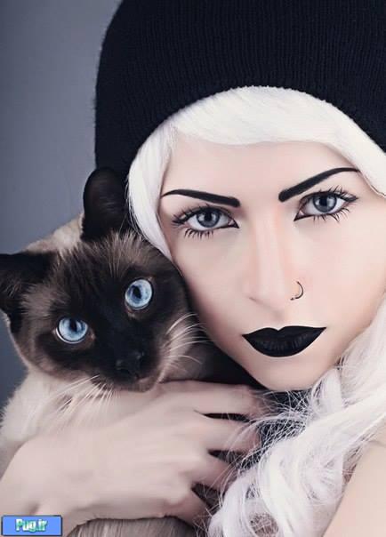 سگ یا گربه کدام را نگه داریم ?(ترجمه )