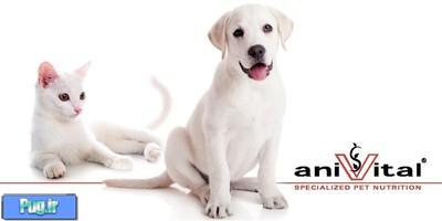 مکمل دارویی برای رشد عضلات و استحکام مفاصل سگهای 