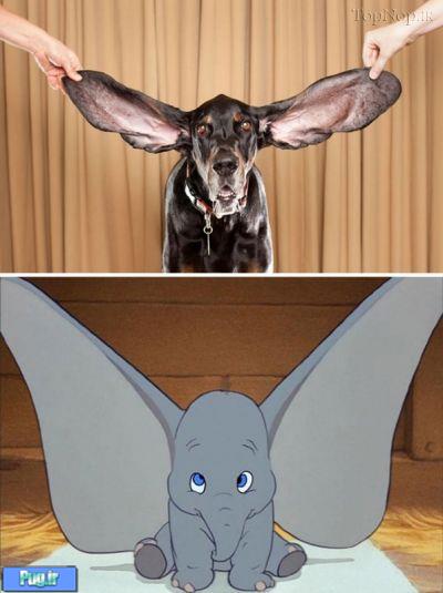 شباهت سگ ها به ...............