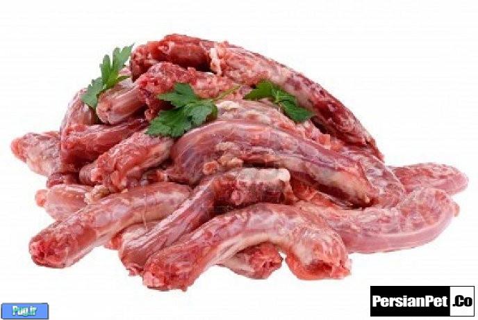 آیا خوردن گردن، جگر، قلب و سنگدان مرغ، برای سگ ها مضر است؟!