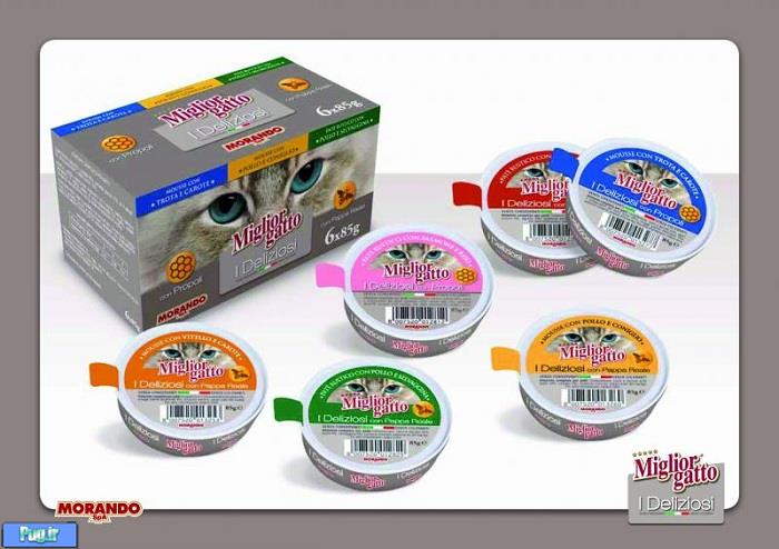 مولتی پک گربه